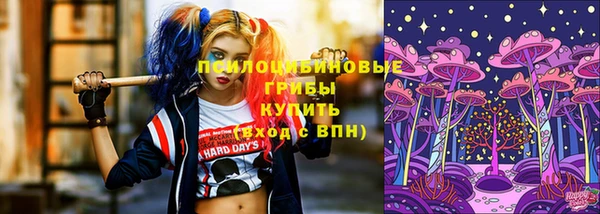 мдпв Балабаново